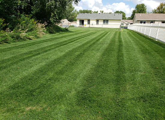 Professional landscaping in Moline Illinois