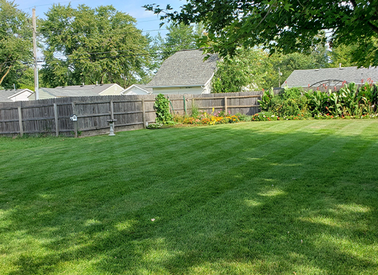 Yard maintenance services in Rock Island Illinois